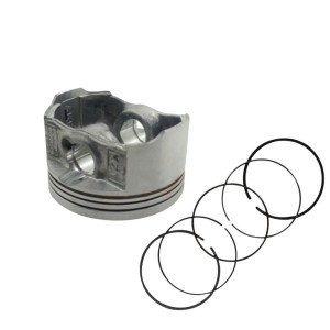 Bộ piston bạc ( nguồn ảnh: internet )