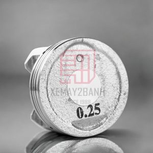 bo piston hayate 46G 3 1