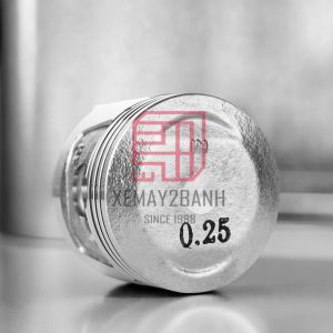 piston DD 70 3 1
