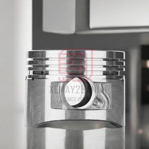 piston bac nouvo 5LW 2 1