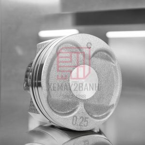 piston raider 150 25G 4