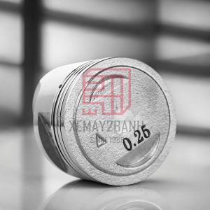 piston viva 09G 4