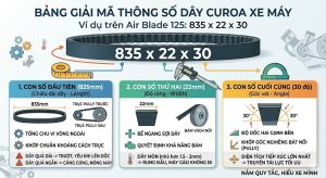 Cách đọc thông số dây curoa xe máy