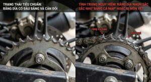 Định kì quan sát nhông, rất nguy hiểm khi để bị mòn